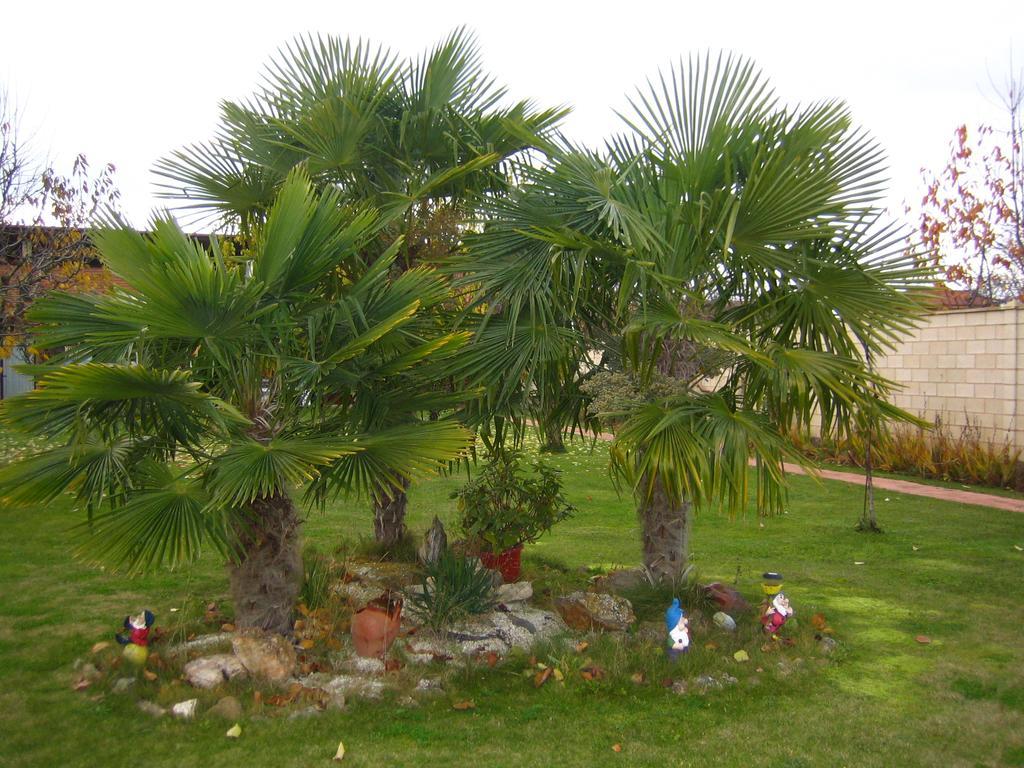 Casa Constanza Vega de Infanzones Exterior foto